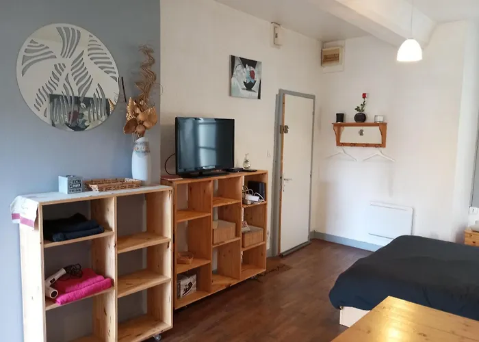 Studio Rdc Au Pied Du Chateau Et Balcon Sur La Vilaine
