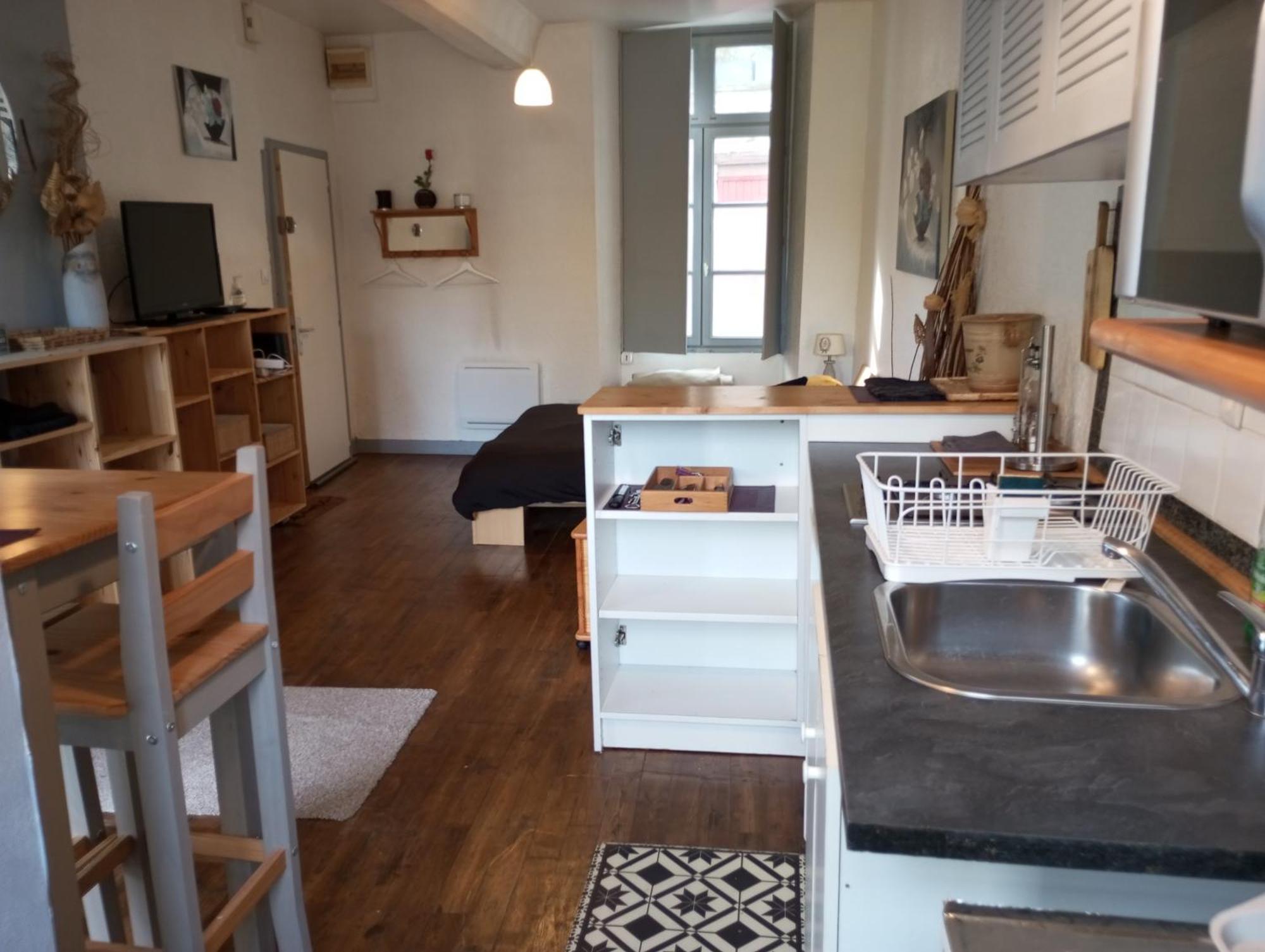 Rdc Au Pied Du Chateau Et Balcon Sur La Vilaine Apartment *