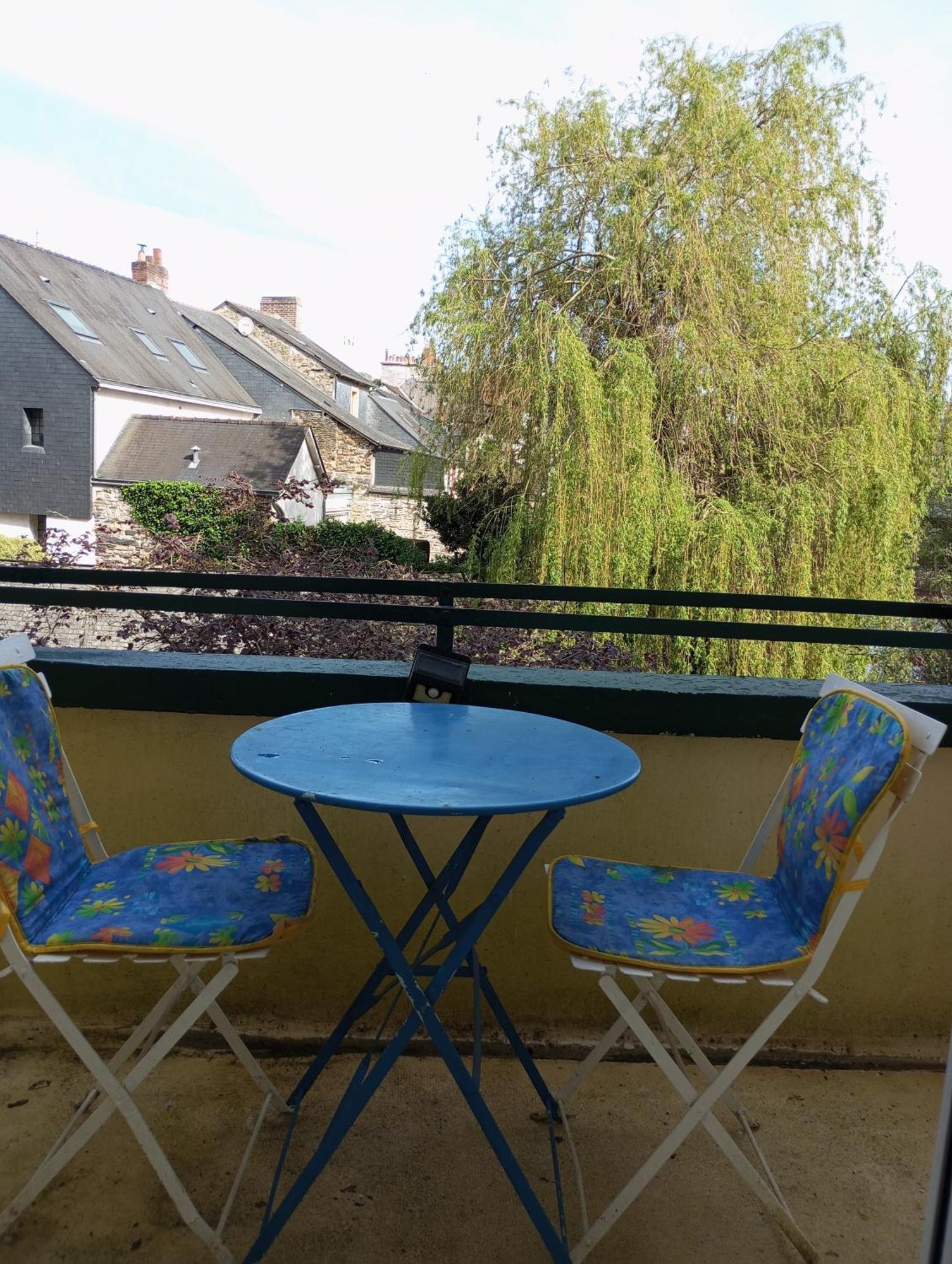 Apartment Rdc Au Pied Du Chateau Et Balcon Sur La Vilaine *